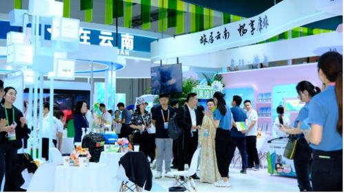 旅居云南的愜意生活 云南康旅集團(tuán)持續(xù)布局南博會(huì)展服務(wù)