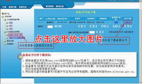 一站式企業互聯網服務解決方案 從域名到推廣的全方位助力